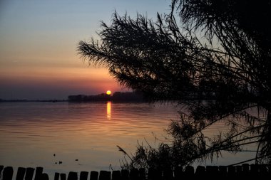 Sazlıklar tarafından çerçevelenmiş bir gölün üzerinde batan güneş.