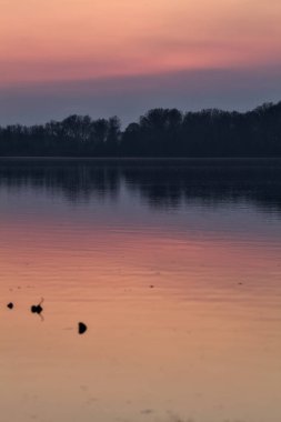 Gün batımında göl, uzakta bir orman ve suya düşen bir gökyüzü.