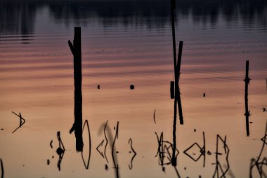 Gün batımında bir gölün kıyısında demirleme direkleri