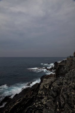 Bulutlu bir günde deniz kenarında bitkilerle dolu bir uçurum.