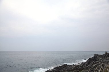 Bulutlu bir günde deniz kenarında bitkilerle dolu bir uçurum.