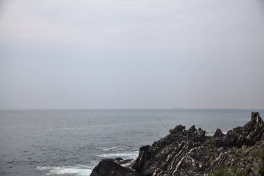 Bulutlu bir günde deniz kenarında bitkilerle dolu bir uçurum.