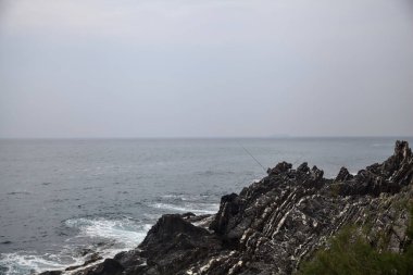Bulutlu bir günde deniz kenarında bitkilerle dolu bir uçurum.