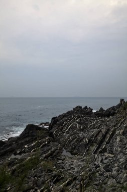 Bulutlu bir günde deniz kenarında bitkilerle dolu bir uçurum.