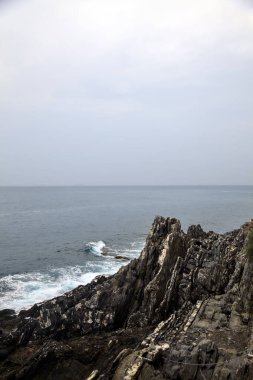 Bulutlu bir günde deniz kenarında bitkilerle dolu bir uçurum.