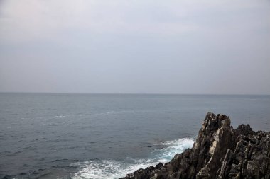Bulutlu bir günde deniz kenarında bitkilerle dolu bir uçurum.