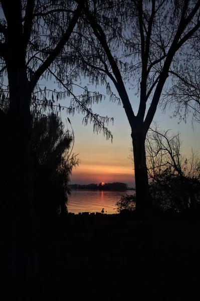 Setting Sun Lake Framed Trees Seen Distance — Stock Photo, Image