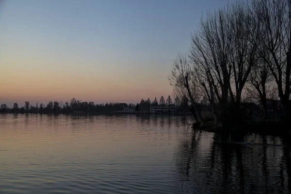 日落时在湖边用光秃秃的树木筑成的小树林 — 图库照片