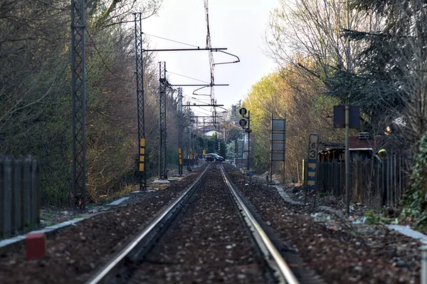 Eisenbahnstrecke Wald Mit Einem Bahnübergang Der Ferne Bei Sonnenuntergang — Stockfoto