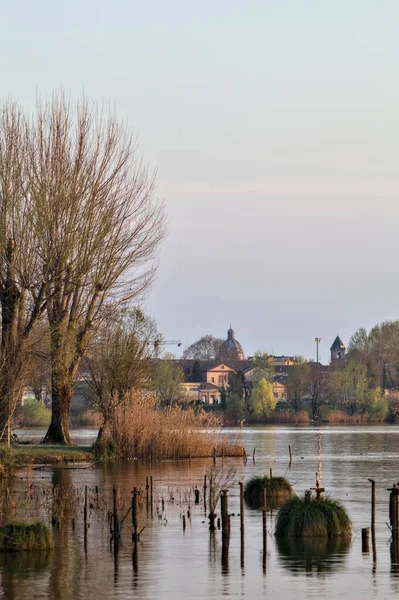 Amarrar Lado Bosque Lago Entardecer — Fotografia de Stock