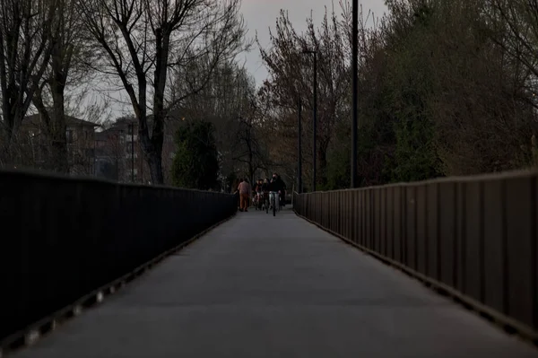 年轻人彼此交谈 黄昏时分在公园的一座桥上散步 — 图库照片