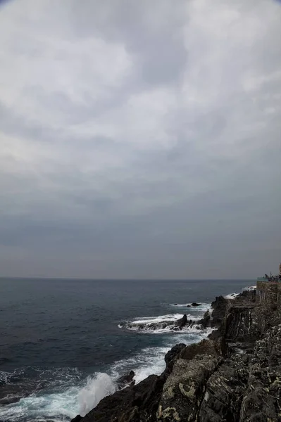 Cliff Plants Sea Cloudy Day — стоковое фото