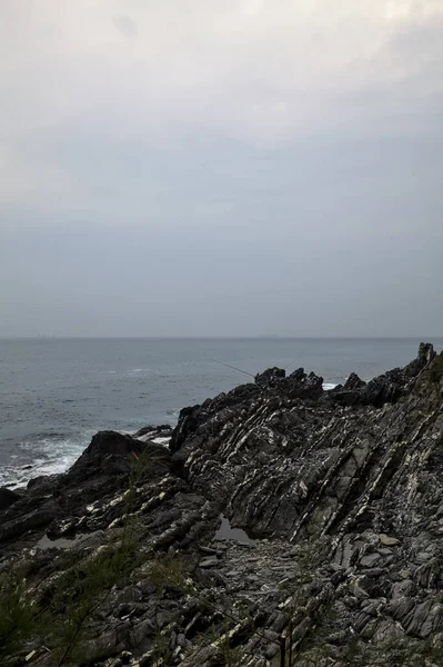 Cliff Plants Sea Cloudy Day — стоковое фото