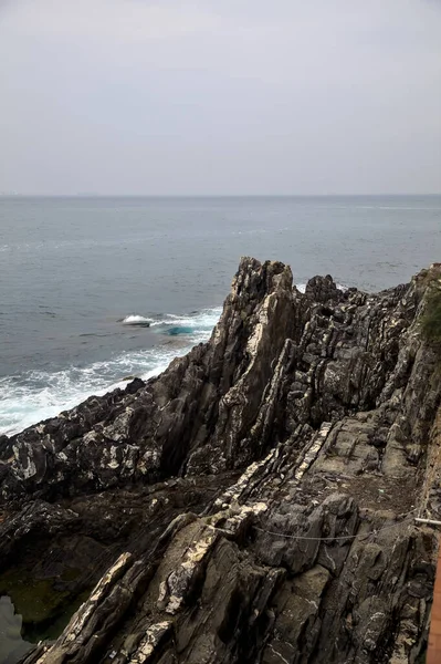 Cliff Com Plantas Beira Mar Dia Nublado — Fotografia de Stock