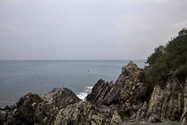 Bulutlu bir günde deniz kenarında bitkilerle dolu bir uçurum.