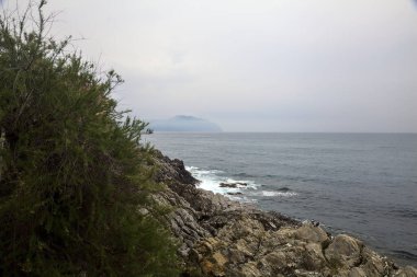 Bulutlu bir günde deniz kenarında bitkilerle dolu bir uçurum.