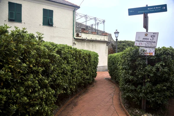 Trail Garden Bordered Hedges Cloudy Day —  Fotos de Stock