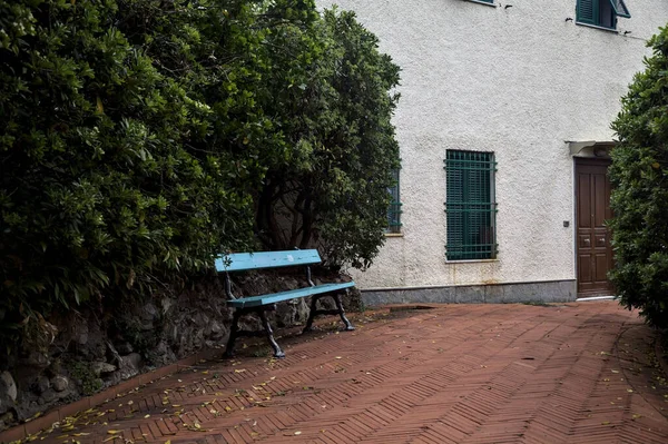 Sendero Panorámico Parque Con Bancos Bordeados Por Setos Altos Día — Foto de Stock