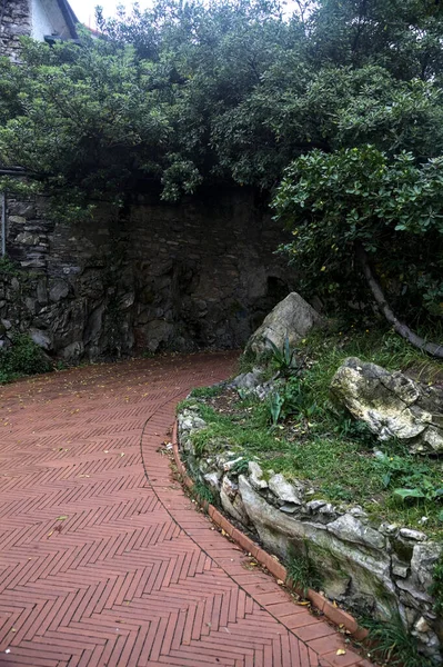 Sendero Parque Día Nublado — Foto de Stock
