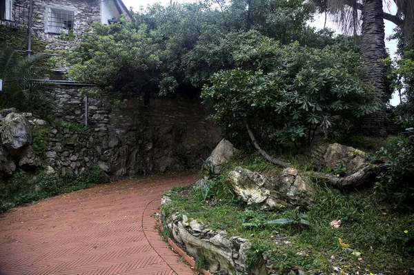 Trail Een Park Een Bewolkte Dag — Stockfoto