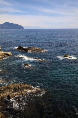 Güneşli bir günde, denizin kenarındaki kayalıkların yanında.