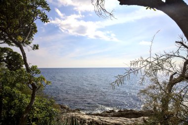 Ağaçlarla çevrili açık bir günde deniz