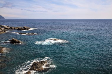 Güneşli bir günde, denizin kenarındaki kayalıkların yanında.