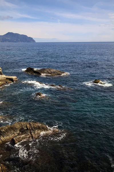 Güneşli bir günde, denizin kenarındaki kayalıkların yanında.