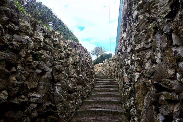 Escadaria Pedra Delimitada Por Paredes Pedra Parque — Fotografia de Stock