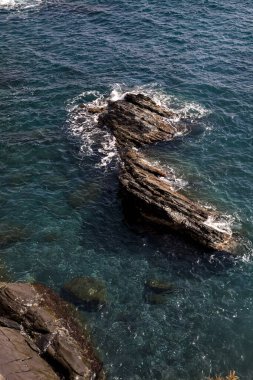Güneşli bir günde, denizin kenarındaki kayalıkların yanında.