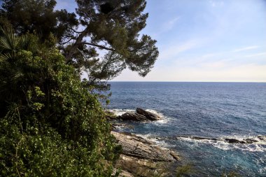 Güneşli bir günde, ağaçlar ve deniz çamı olan bir uçurum tarafından çerçevelenmiş deniz.