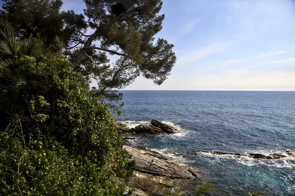 Güneşli bir günde, ağaçlar ve deniz çamı olan bir uçurum tarafından çerçevelenmiş deniz.