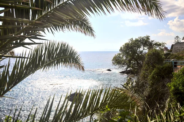 Ağaçlarla çevrili açık bir günde deniz