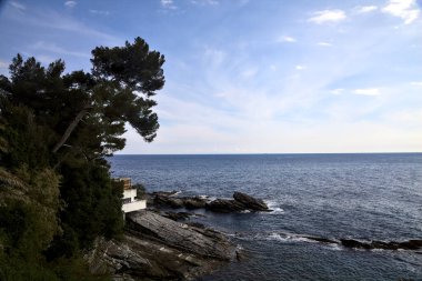 Güneşli bir günde, ağaçlar ve deniz çamı olan bir uçurum tarafından çerçevelenmiş deniz.