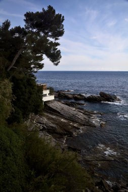 Güneşli bir günde, ağaçlar ve deniz çamı olan bir uçurum tarafından çerçevelenmiş deniz.