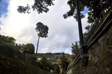 Arka planda gökyüzü olan bir ara sokakta görülen parktaki ağaçlar