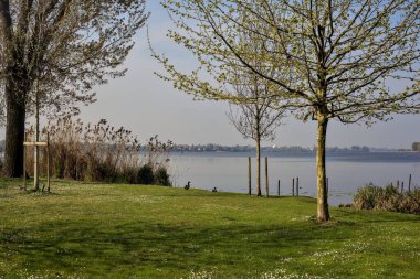 Güneşli bir günde ağaçlı bir gölün kıyısında