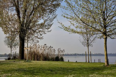 Güneşli bir günde ağaçlı bir gölün kıyısında