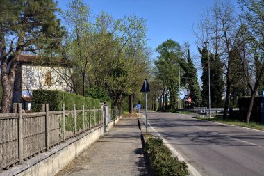Güneşli bir günde ağaçlarla çevrili köy yolu