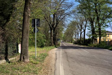 Güneşli bir günde ağaçlarla çevrili köy yolu