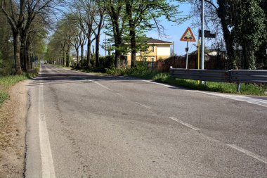 Güneşli bir günde ağaçlarla çevrili köy yolu
