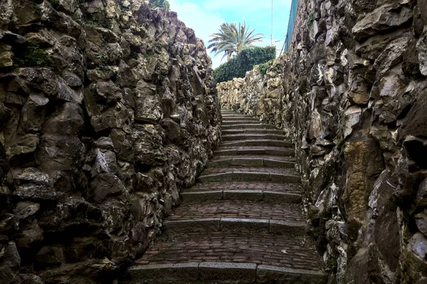 Escalera Piedra Bordeada Por Muros Piedra Parque —  Fotos de Stock