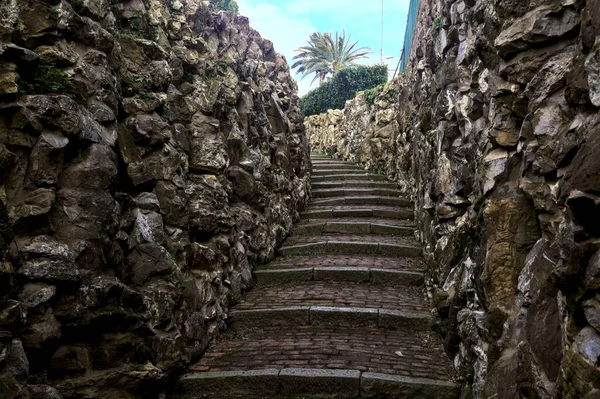 Stone Staircase Bordered Stone Walls Park — Foto Stock