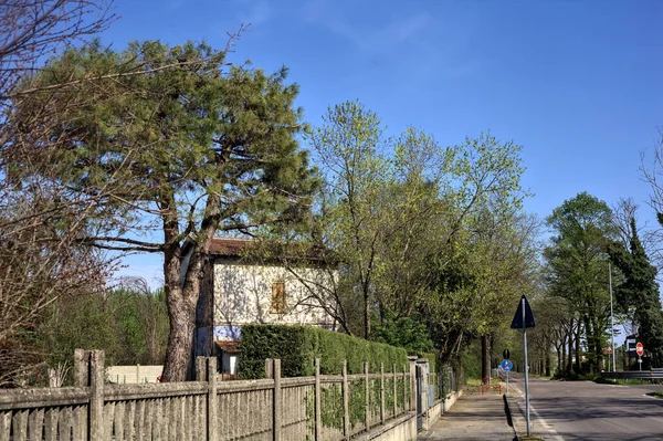 Güneşli bir günde ağaçlarla çevrili köy yolu