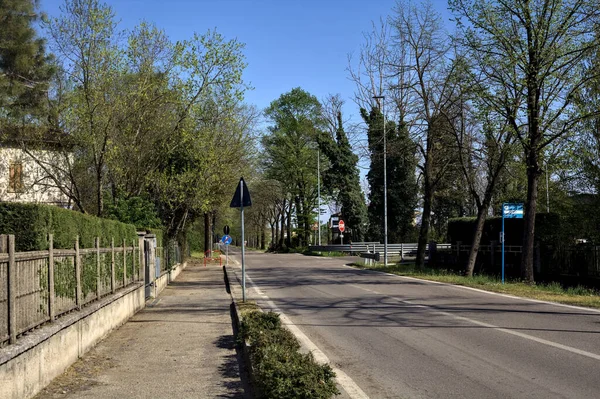 Güneşli bir günde ağaçlarla çevrili köy yolu