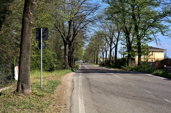 Güneşli bir günde ağaçlarla çevrili köy yolu