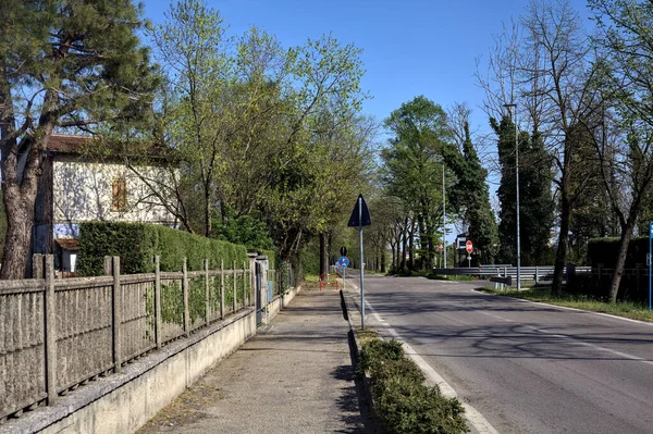 Güneşli bir günde ağaçlarla çevrili köy yolu