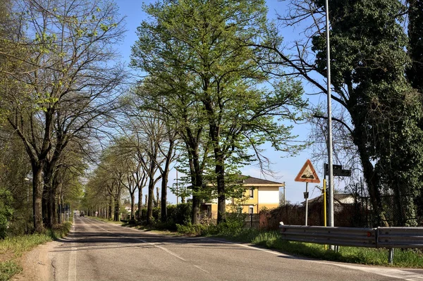 Güneşli bir günde ağaçlarla çevrili köy yolu