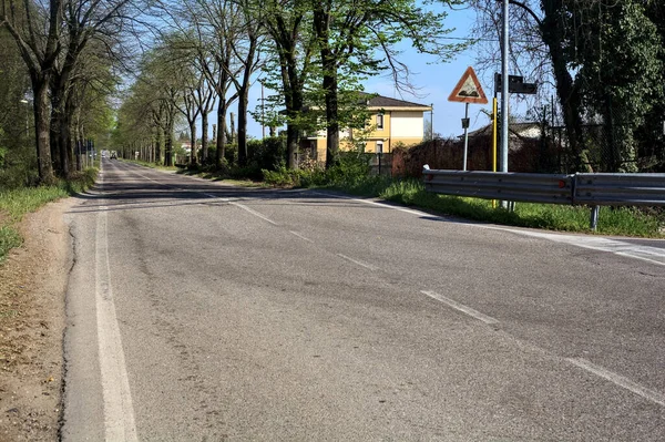 Country Road Bordered Trees Sunny Day — Photo