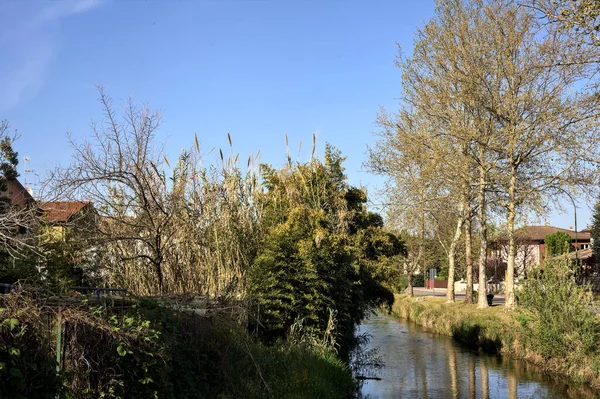 Stream Water Bordered Houses Trees Reflections Casted Water Sunny Day — Stock Fotó